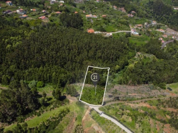 Terreno para Venda em Gaula
