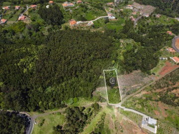 Terreno para Venda em Gaula