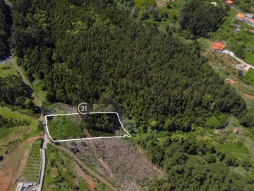 Terreno para Venda em Gaula