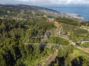 Terreno para Venda em Gaula