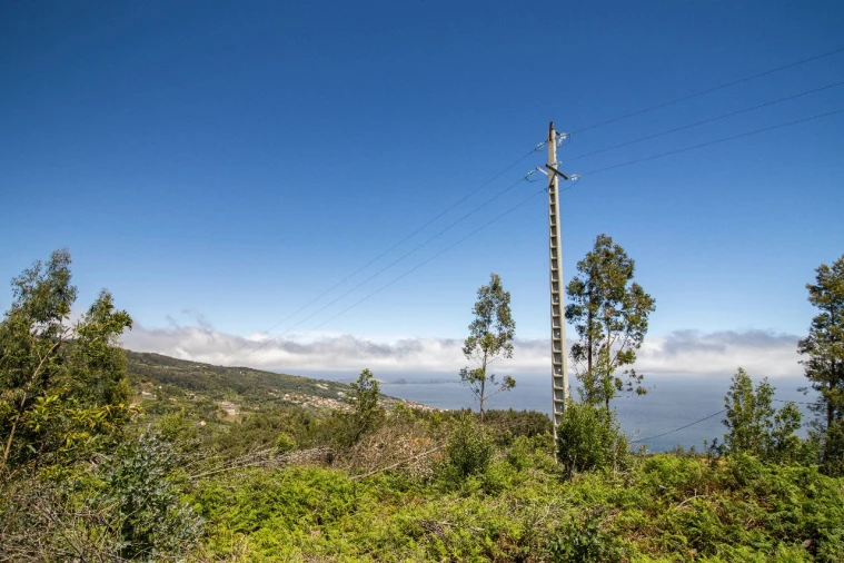Terreno para Venda em Gaula Foto 2