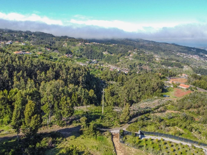 Terreno para Venda em Gaula Foto 3