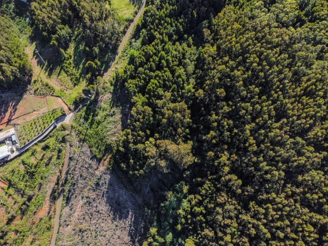 Terreno para Venda em Gaula Foto 5