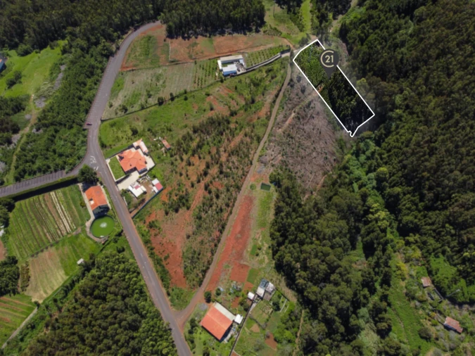 Terreno para Venda em Gaula Foto 9