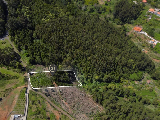 Terreno para Venda em Gaula Foto 14