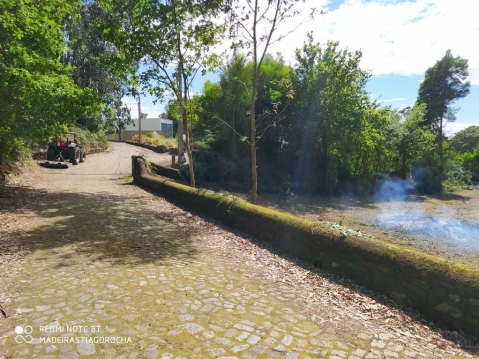 Terreno para Venda em Seixas Foto 4