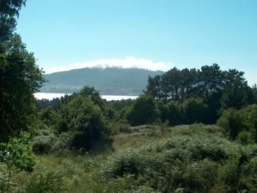 Terreno para Venda em Seixas