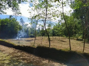 Terreno para Venda em Seixas