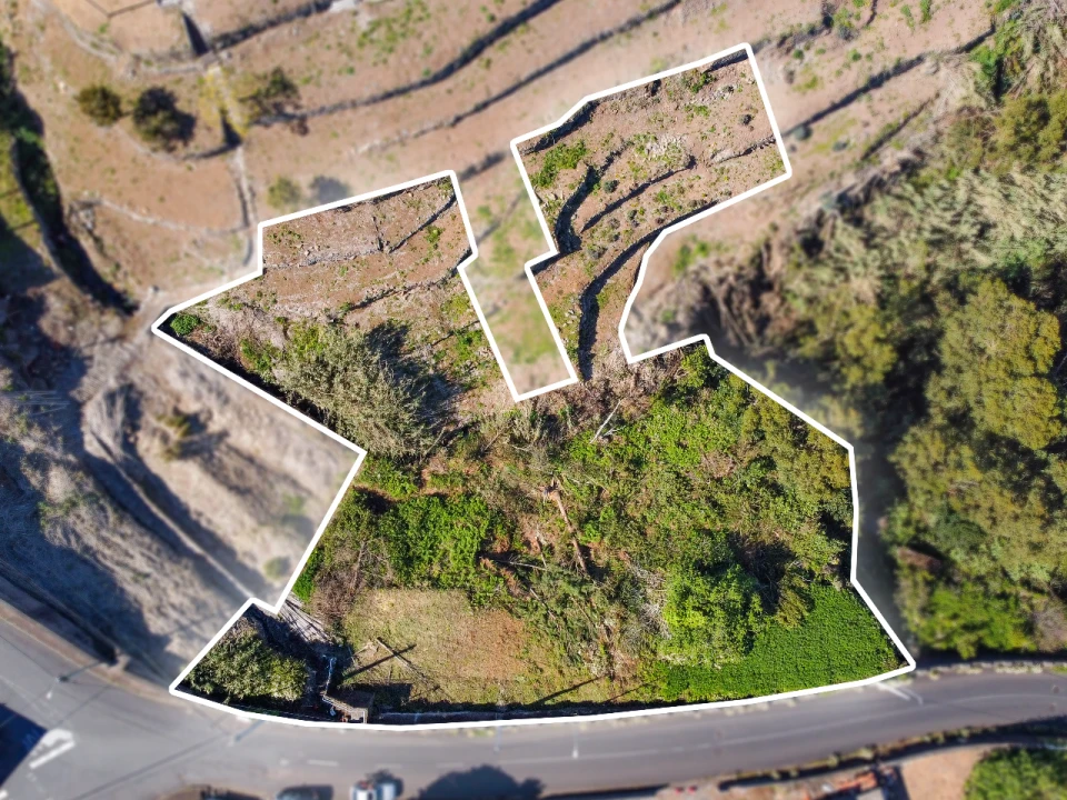 Terreno P/ Prédio para Venda em Santa Cruz Foto 5