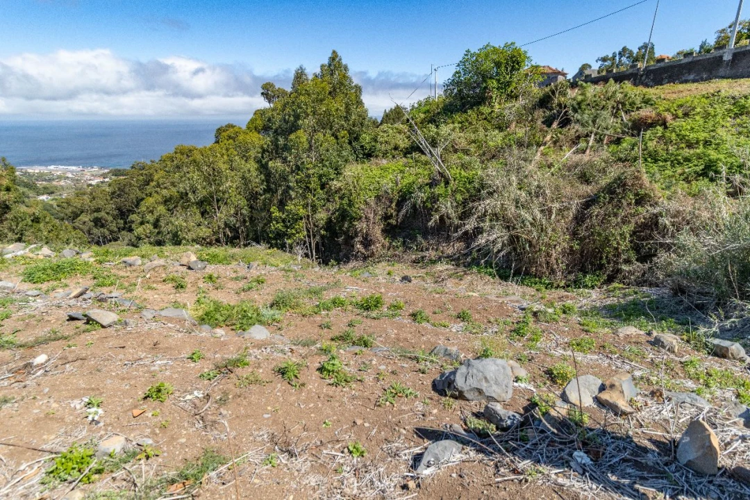 Terreno P/ Prédio para Venda em Santa Cruz Foto 6