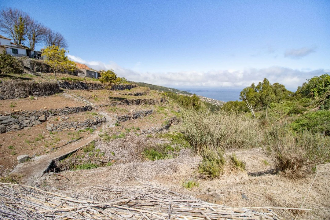 Terreno P/ Prédio para Venda em Santa Cruz Foto 7