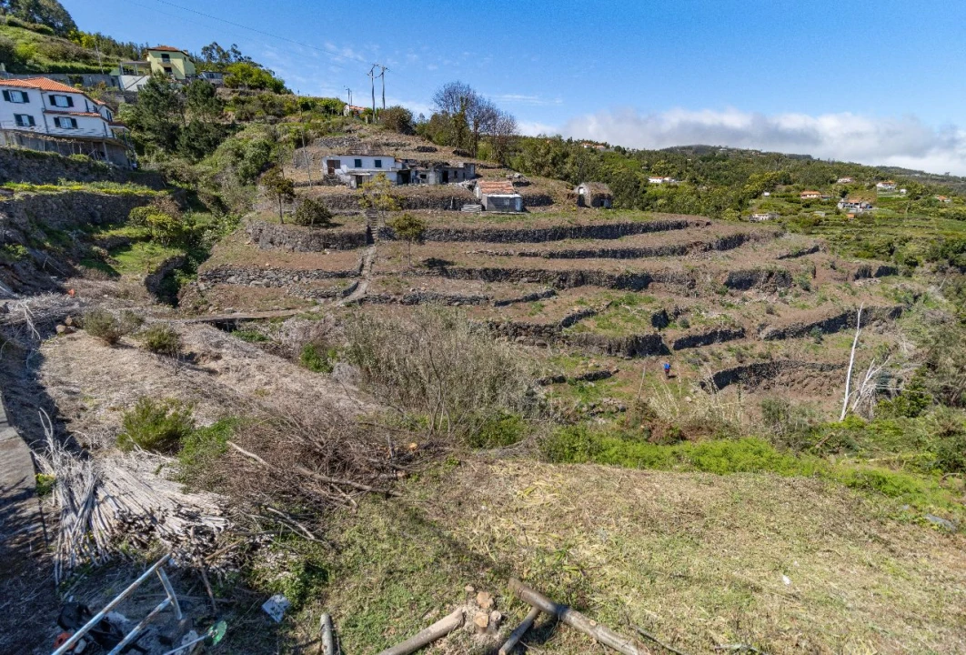 Terreno P/ Prédio para Venda em Santa Cruz Foto 8