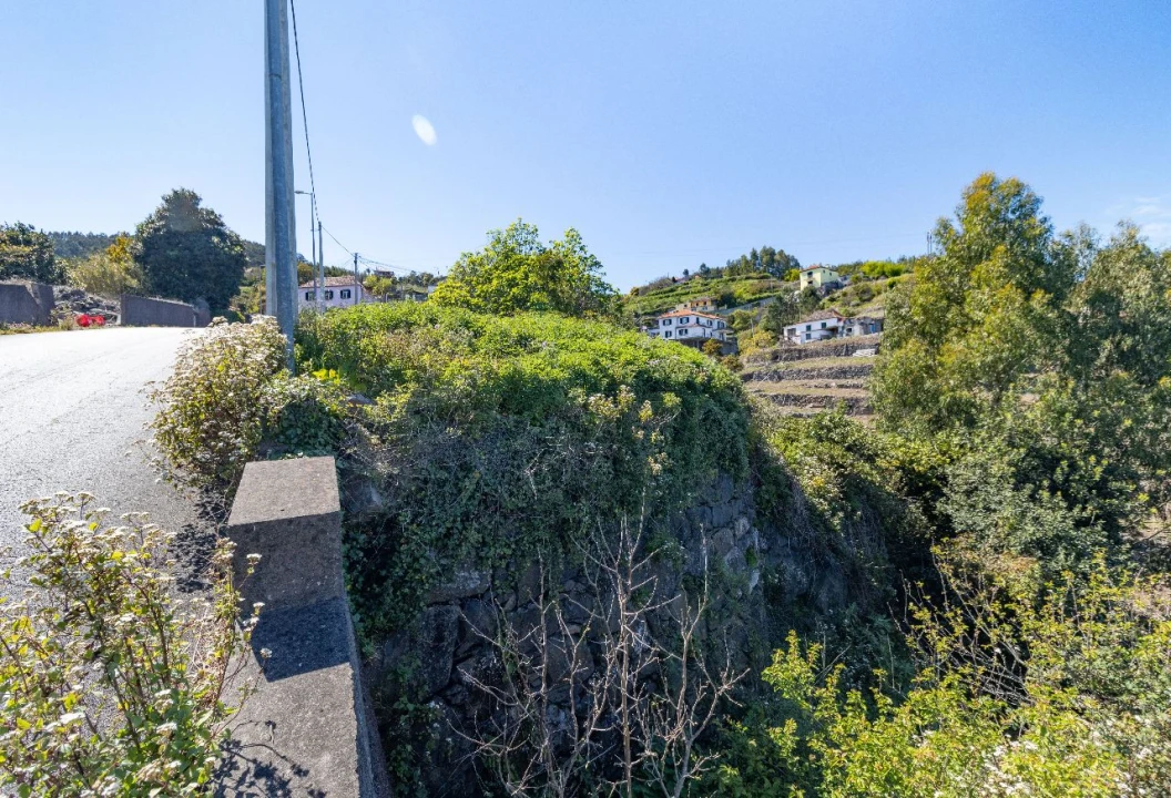 Terreno P/ Prédio para Venda em Santa Cruz Foto 9