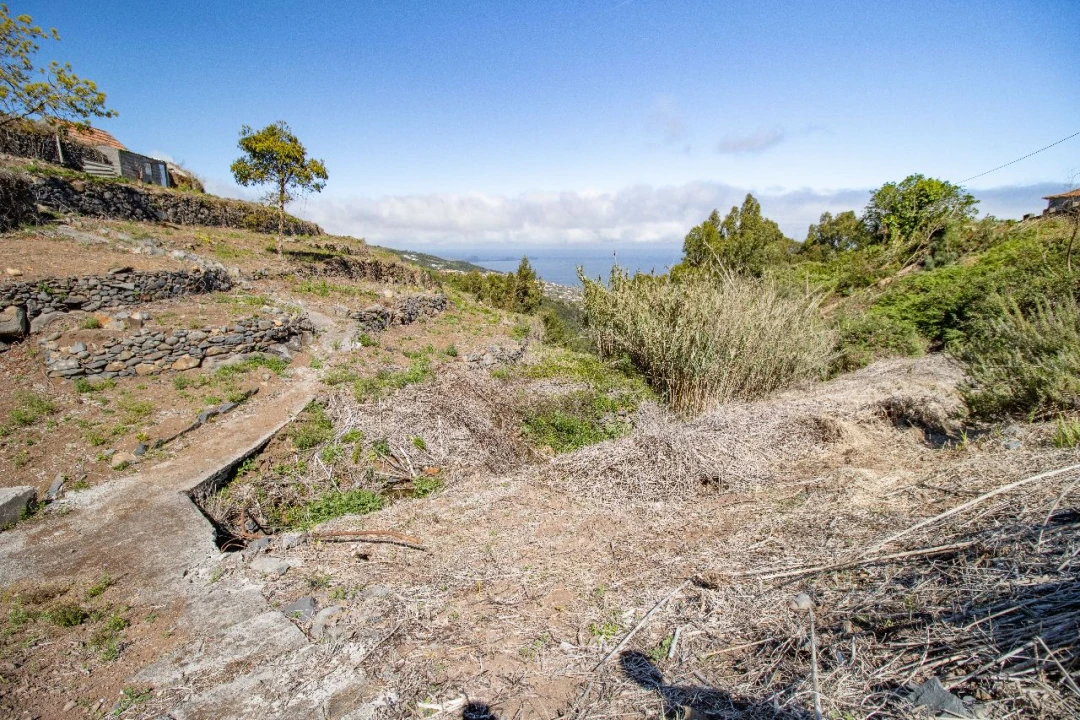 Terreno P/ Prédio para Venda em Santa Cruz Foto 10