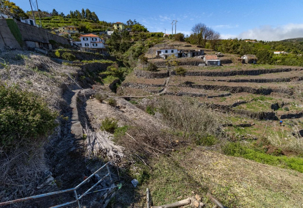 Terreno P/ Prédio para Venda em Santa Cruz Foto 11