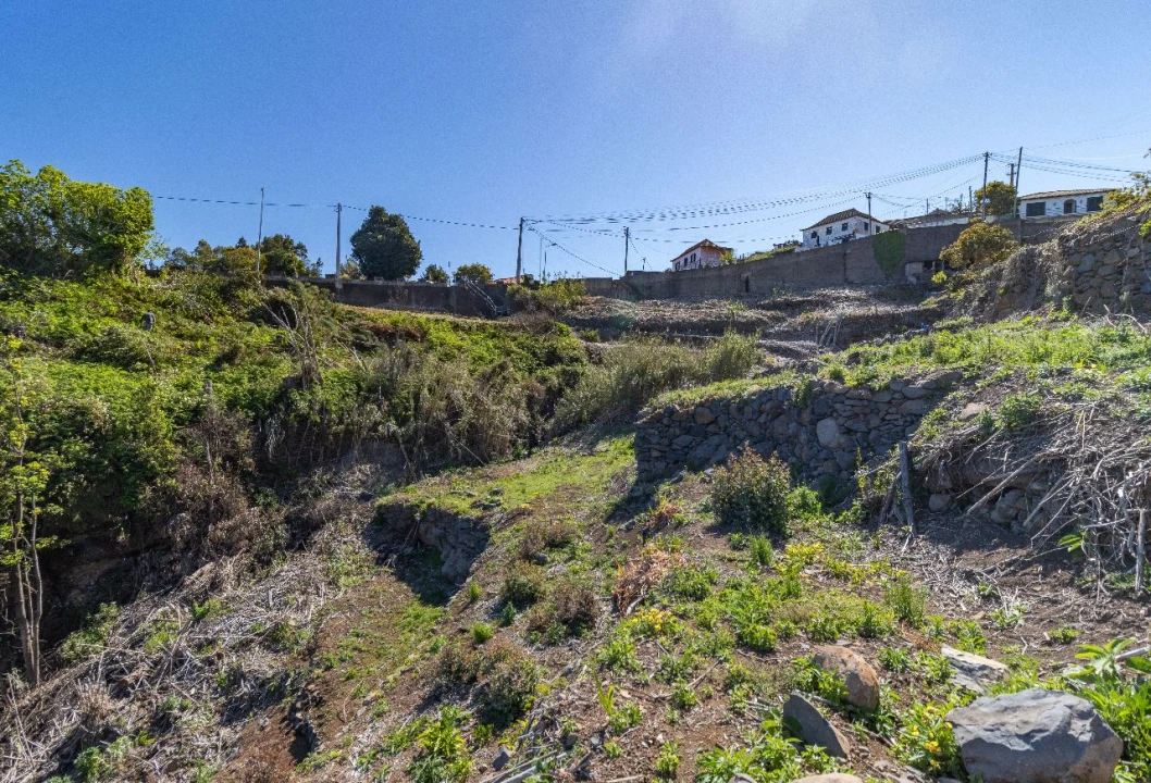 Terreno P/ Prédio para Venda em Santa Cruz Foto 12