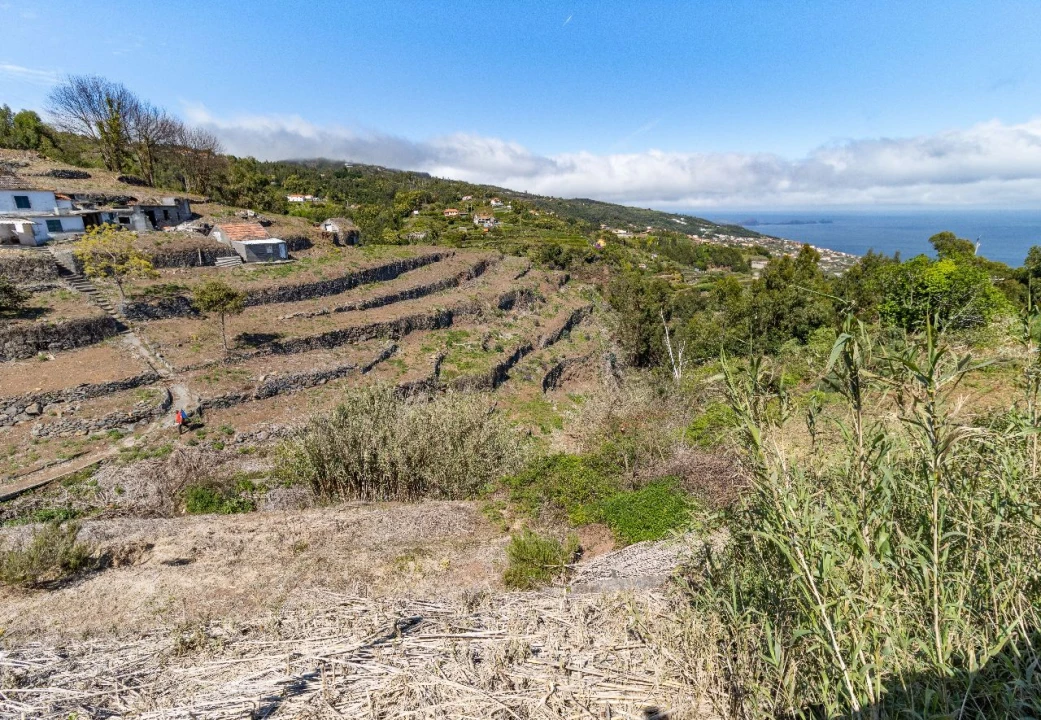 Terreno P/ Prédio para Venda em Santa Cruz Foto 13