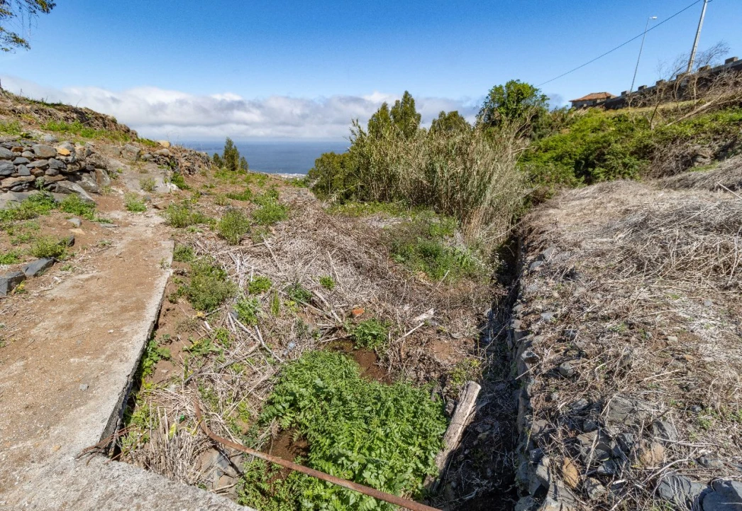Terreno P/ Prédio para Venda em Santa Cruz Foto 14