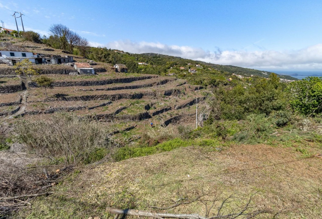 Terreno P/ Prédio para Venda em Santa Cruz Foto 15