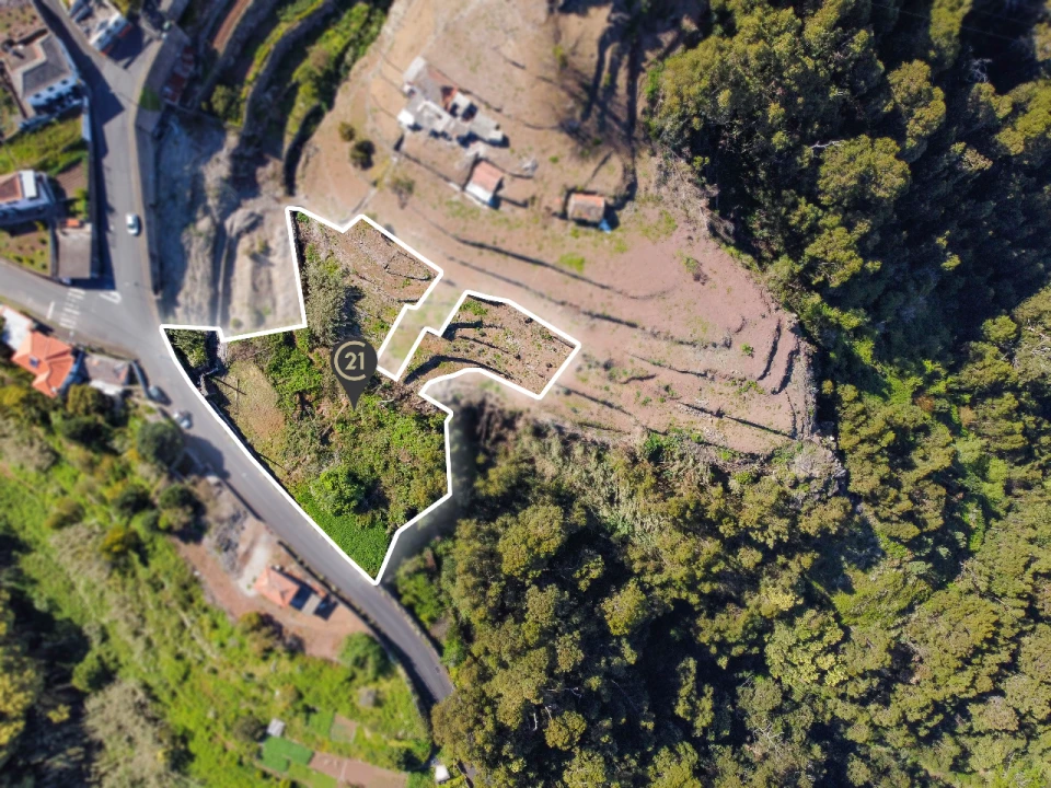 Terreno P/ Prédio para Venda em Santa Cruz Foto 23