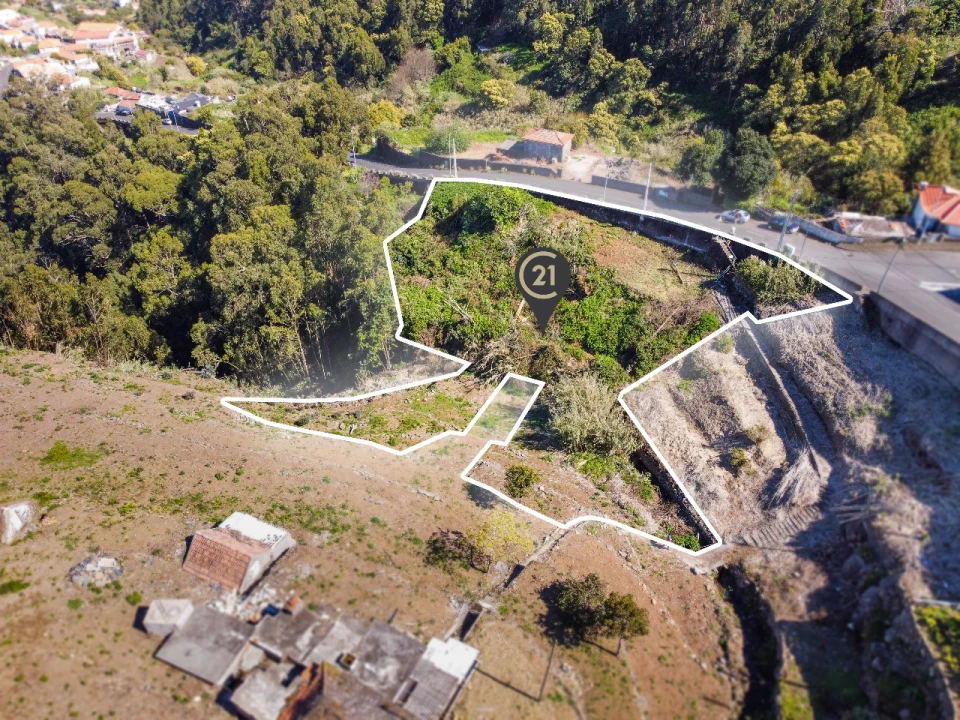 Terreno P/ Prédio para Venda em Santa Cruz Foto 25