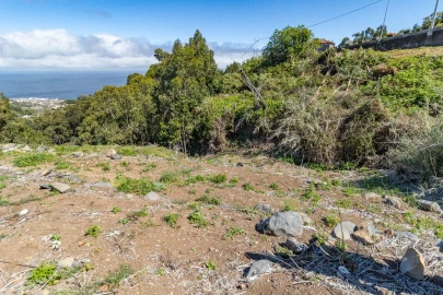 Terreno P/ Prédio para Venda em Santa Cruz
