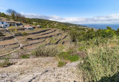 Terreno P/ Prédio para Venda em Santa Cruz