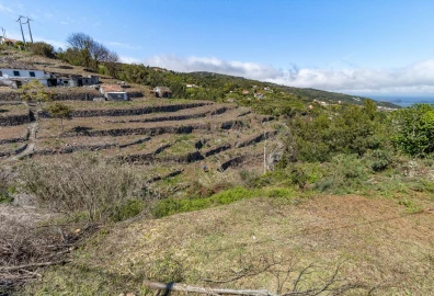Terreno P/ Prédio para Venda em Santa Cruz