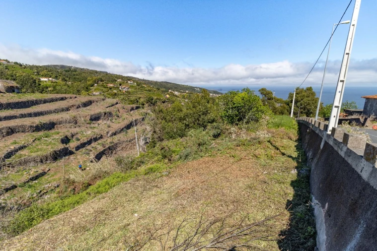 Terreno P/ Prédio para Venda em Santa Cruz Foto 3