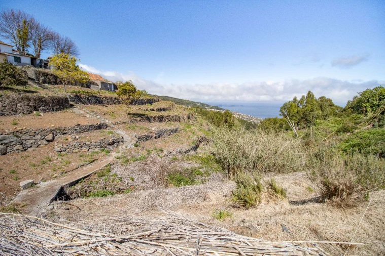 Terreno P/ Prédio para Venda em Santa Cruz Foto 7