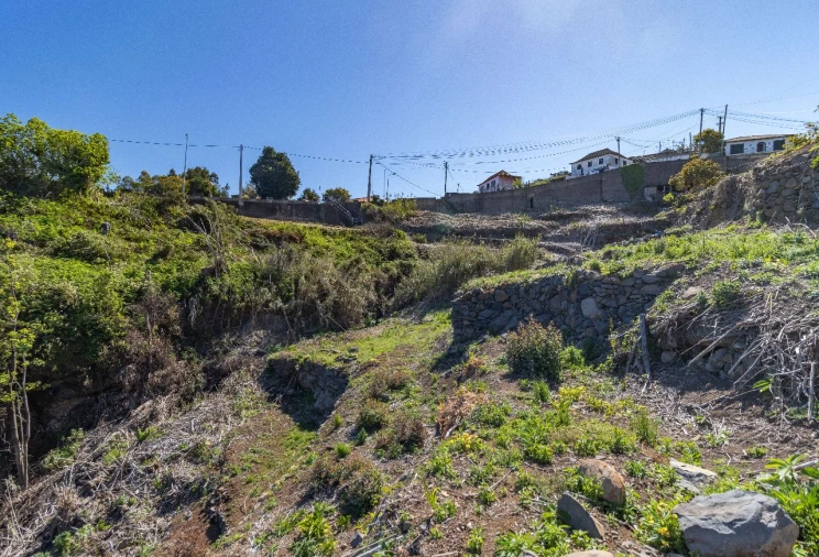 Terreno P/ Prédio para Venda em Santa Cruz Foto 12