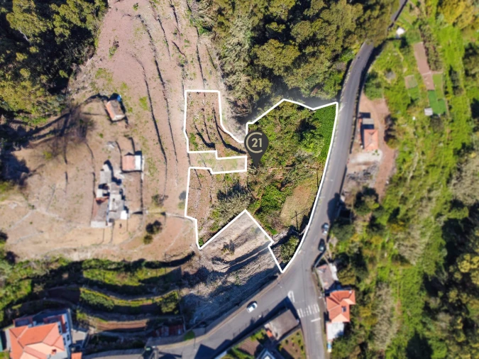 Terreno P/ Prédio para Venda em Santa Cruz Foto 16