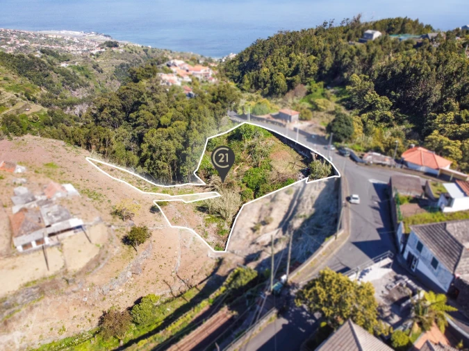 Terreno P/ Prédio para Venda em Santa Cruz Foto 17