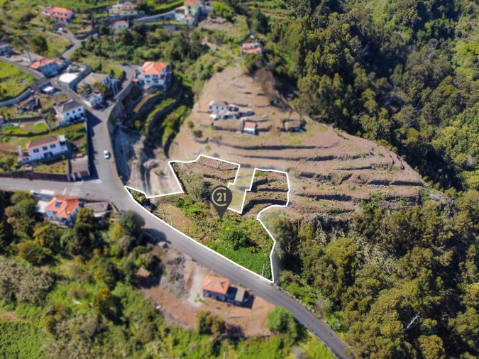 Terreno P/ Prédio para Venda em Santa Cruz Foto 18