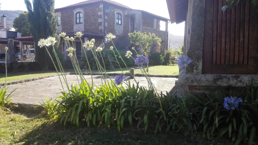 Quinta T4 para Venda em Venade