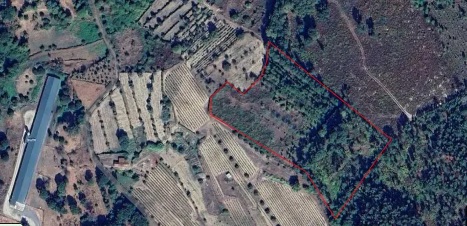 Terreno para Venda em Alcafache Foto 1