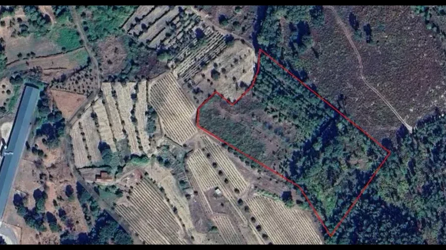 Terreno para Venda em Alcafache