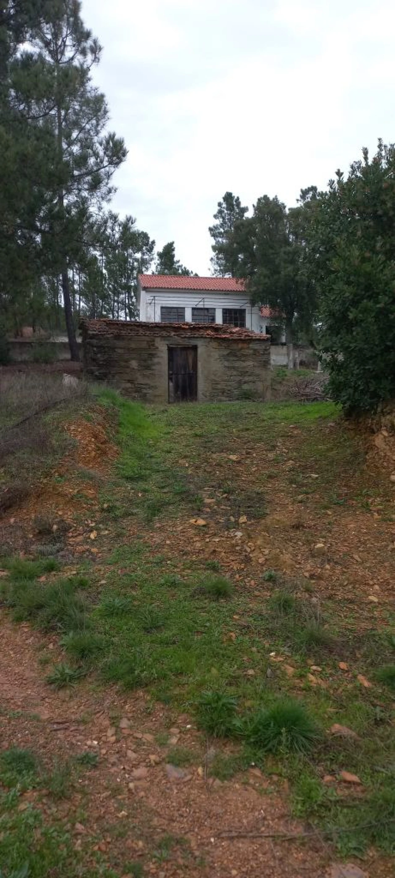 Moradia para Venda em Silvosa Foto 8