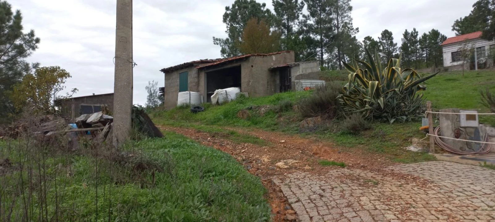 Moradia para Venda em Silvosa Foto 2