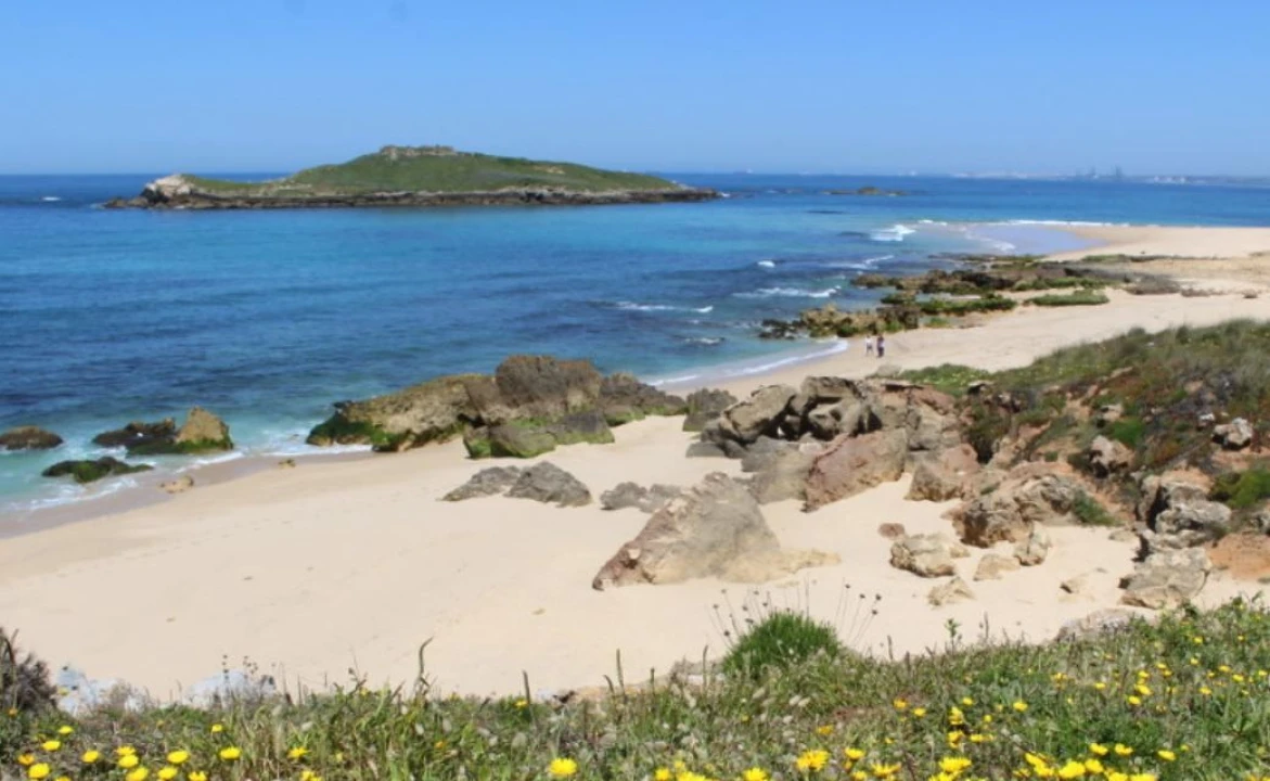Apartamento T3 para Venda em Porto Covo Foto 27