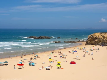 Apartamento T3 para Venda em Porto Covo
