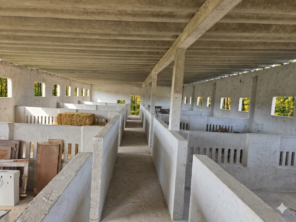 Quinta T2 para Venda em Cilha do Centeio Foto 5
