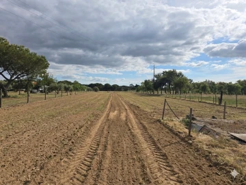 Quinta T2 para Venda em Cilha do Centeio