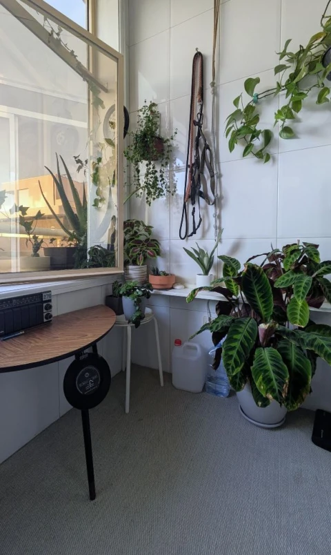 Apartamento T2 para Venda em Vila Nova de Gaia