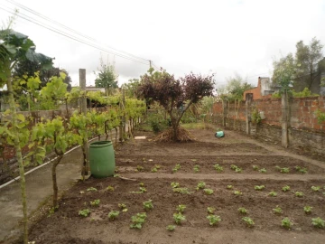 Moradia T1 para Venda em Ervosas