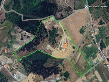 Quinta T4 para Venda em Galizes