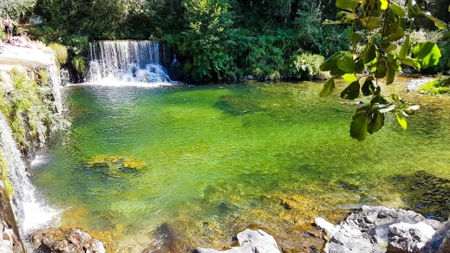 Quinta T4 para Venda em Galizes Foto 37