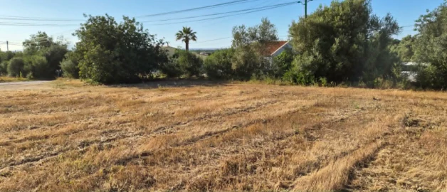 Quinta para Venda em Algoz