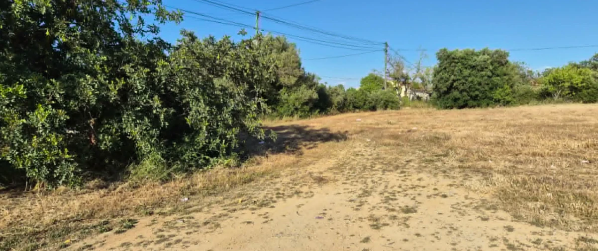 Quinta para Venda em Algoz Foto 6