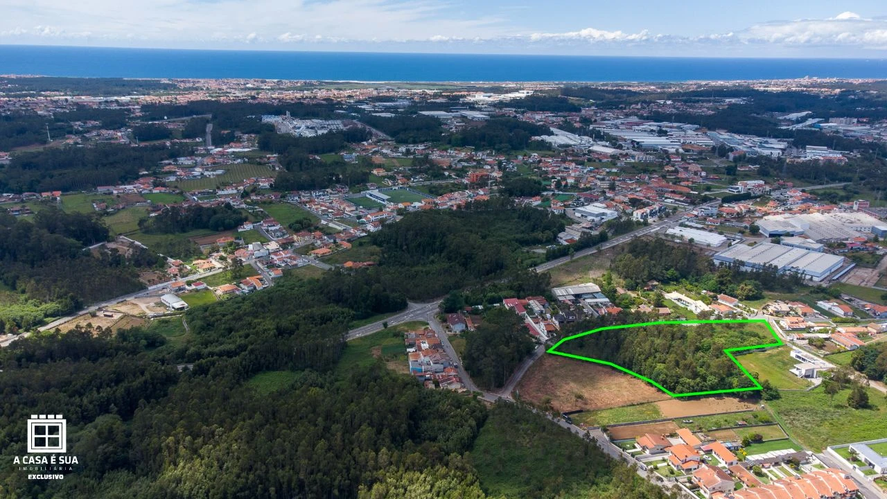 Terreno P/ Prédio para Venda em Zona Industrial de Rio Meão Foto 4